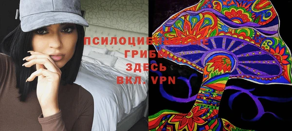 гашик Абдулино