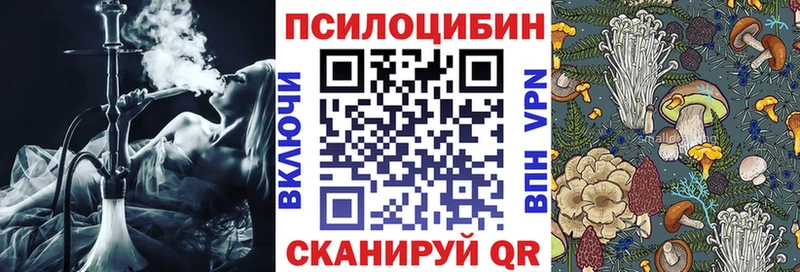 Галлюциногенные грибы мицелий  купить наркотики цена  Сокол 