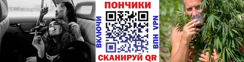 Канабис SATIVA & INDICA  Сокол 